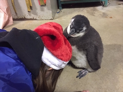 東北サファリパーク　サプライズ企画