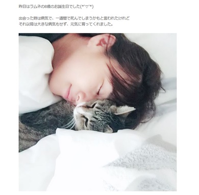 藤崎奈々子　猫　ラムネ