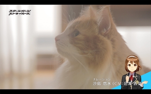 スクスト猫動画