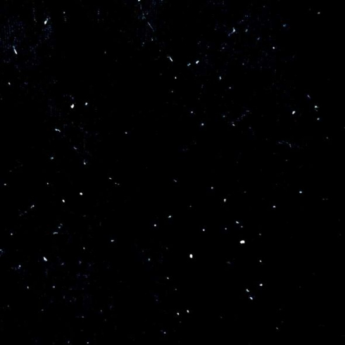 カメラ 星空 Android スマホ 毛玉のついたタイツ 比較