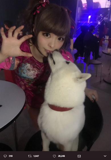 きゃりーぱみゅぱみゅ　ソフトバンク　お父さん犬　YouTube FanFest 2017　YTFF　キス