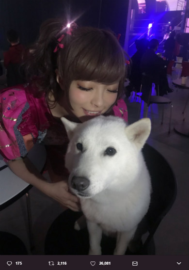 きゃりーぱみゅぱみゅ　ソフトバンク　お父さん犬　YouTube FanFest 2017　YTFF　キス