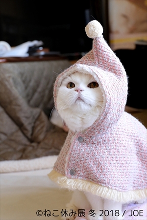 ねこ休み展・冬
