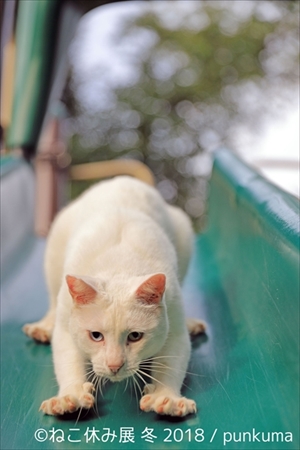 ねこ休み展・冬