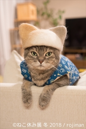 ねこ休み展・冬