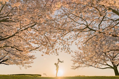 高い高い　妻　娘　写真