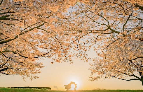 高い高い　妻　娘　写真