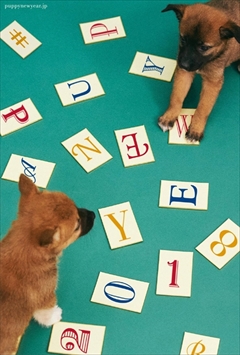 PUPPY NEW YEAR