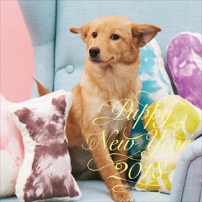 PUPPY NEW YEAR