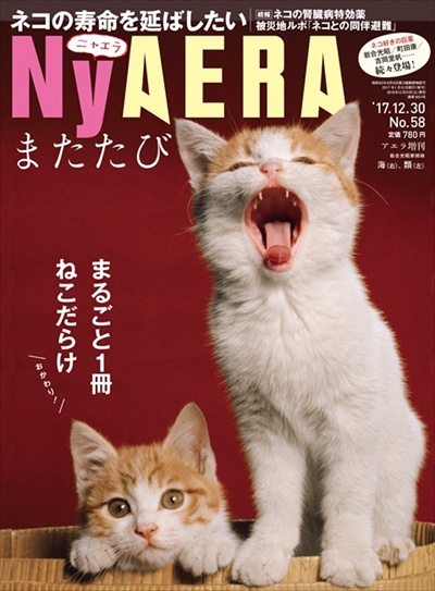 NyAERAまたたび