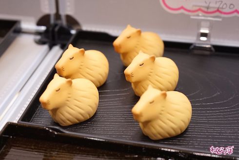 トレフェス フィギュア まんじゅう 迷菓