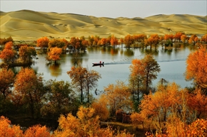 Journeys & Adventures部門3位「Poplars in sand sea」（Chuansheng Wang）