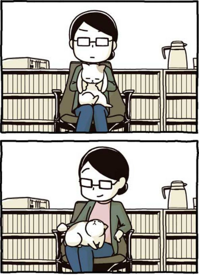 猫 椅子 膝に乗せる 2匹いける かわいい 漫画