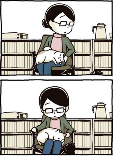 猫 椅子 膝に乗せる 2匹いける かわいい 漫画