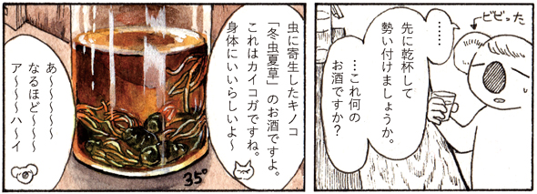 チョーヒカル ゲテモノ