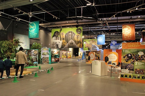 生きものになれる展