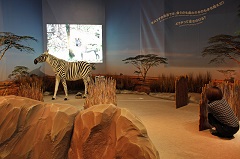 生きものになれる展