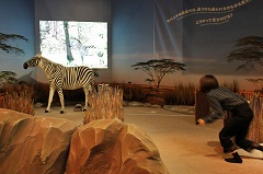 生きものになれる展