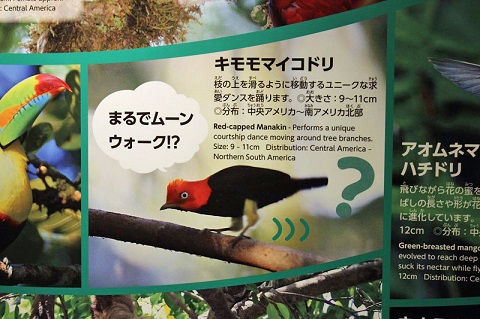 生きものになれる展