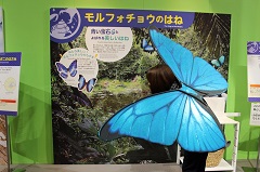 生きものになれる展