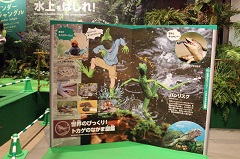 生きものになれる展