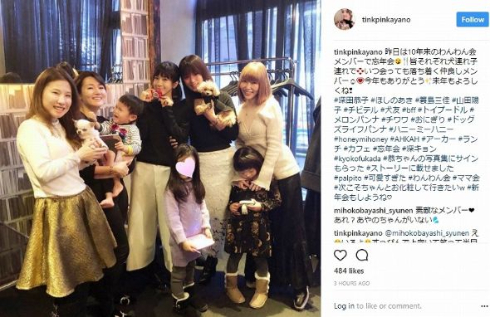 ほしのあき 深田恭子 愛犬 忘年会