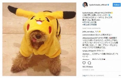 ほしのあき 深田恭子 愛犬 忘年会