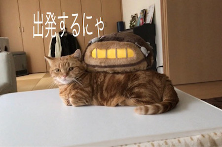 ネコバス