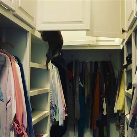 まずここに前足をついて……と