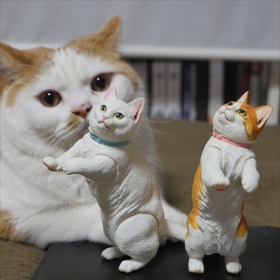 マンチカンズと仲間たち