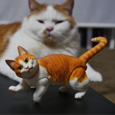 マンチカンズと仲間たち