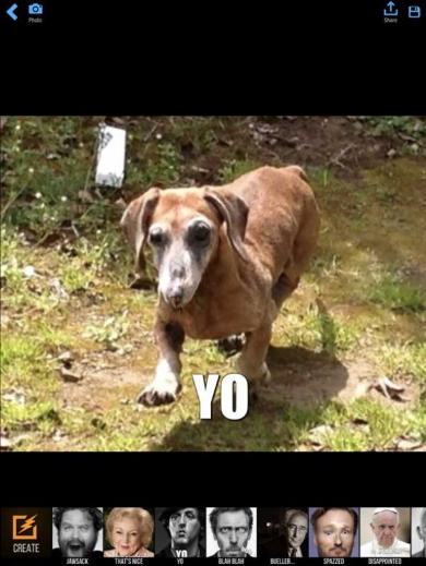 Mug Life アプリ 顔写真 動かす 表情