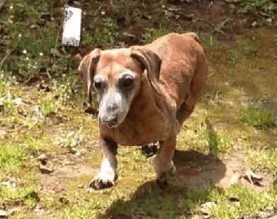 Mug Life アプリ 顔写真 動かす 表情