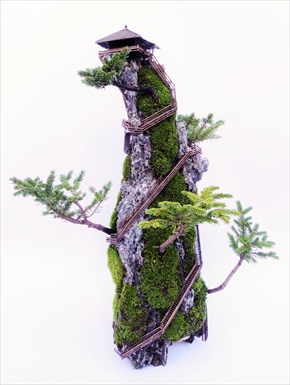 CLIFF BONSAI