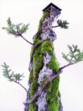 CLIFF BONSAI