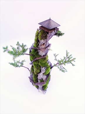 CLIFF BONSAI