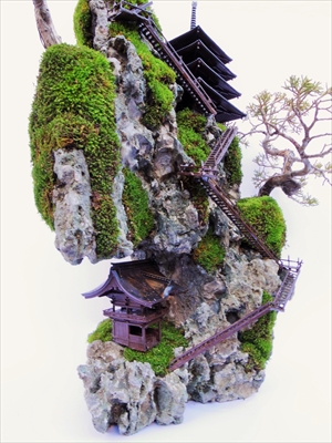 CLIFF BONSAI