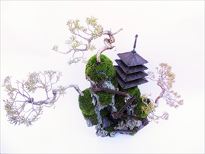 CLIFF BONSAI