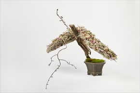 ART BONSAI