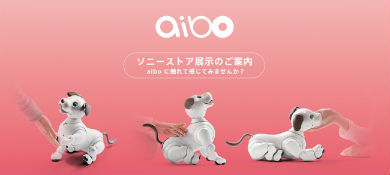 aibo