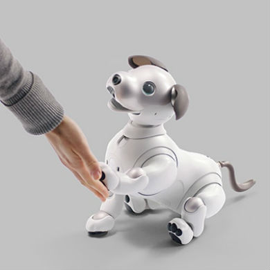 aibo