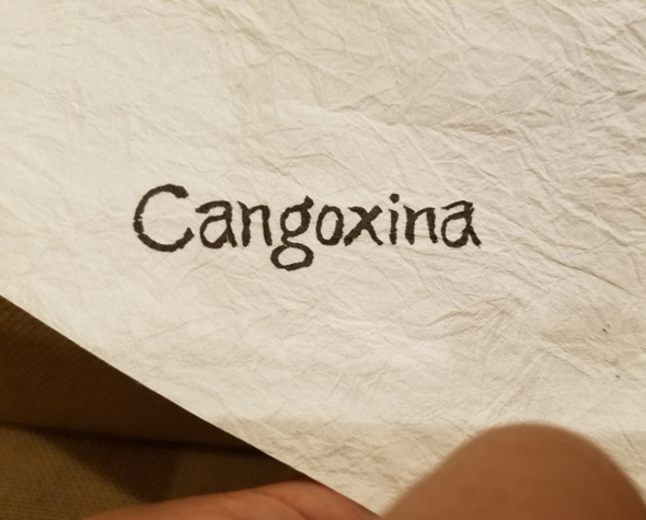 Cangoxina 西郷どん 鈴木亮平