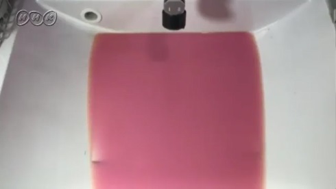 nhk テレビ東京 池 洗面所 水 ぜんぶ抜く