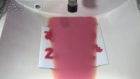 nhk テレビ東京 池 洗面所 水 ぜんぶ抜く