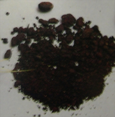 におい展 ジャコウ