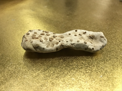 におい展 イリス