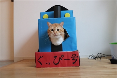 ぐぴ本