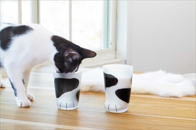 ここねこグラス
