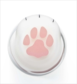 ここねこグラス