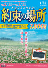 FF旅 ファイナルファンタジー 旅行 パンフレット バラ売り 非売品 FINAL FANTASY FF旅 パンフレット チラシ DISSIDIA 全種 - メルカリ